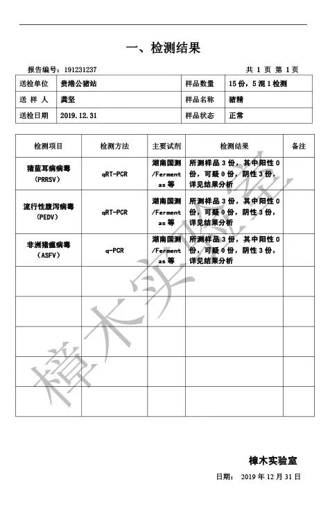 12月豬精 (1).jpg